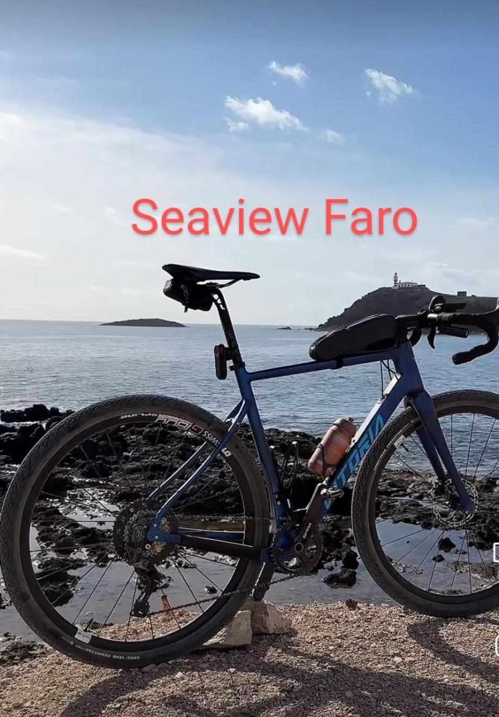 Seaview Faro Apartment Arinaga